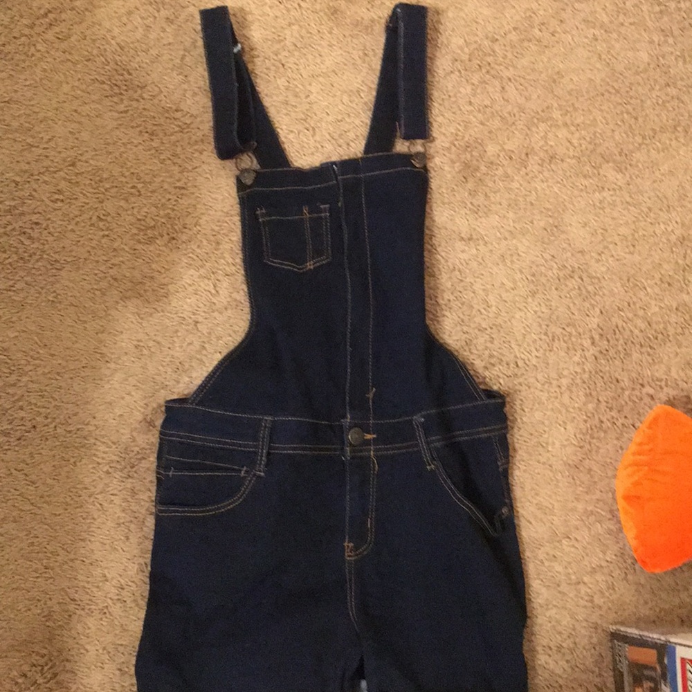 Wallflower overalls